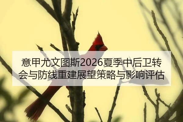yi-jia-you-wen-tu-si-xia-ji-zhong-hou-wei-zhuan-hui-yu-fang-xian-chong-jian-zhan-wang-ce-lve-yu-ying-xiang-ping-gu-2-946.jpg
